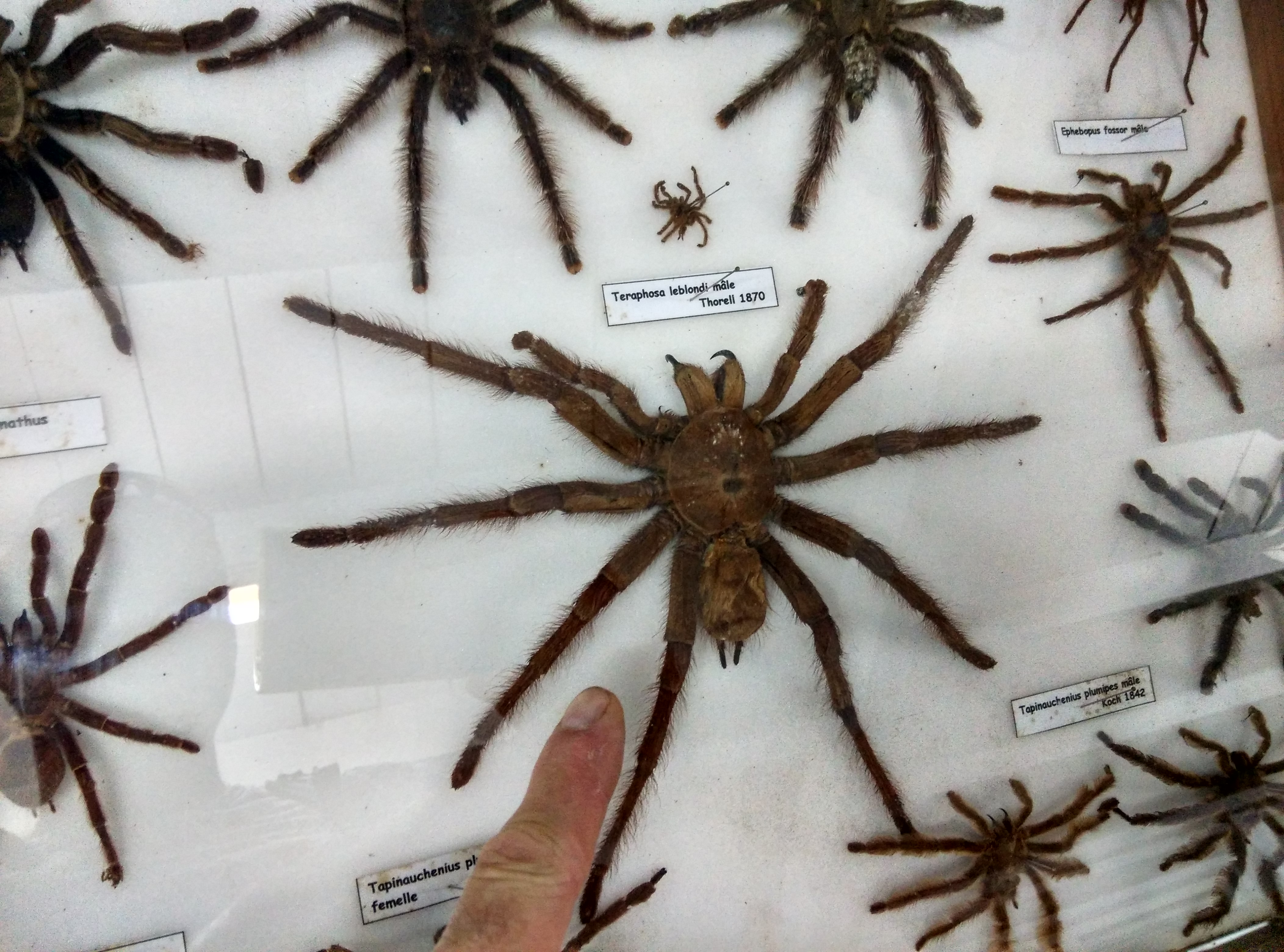 img_20161120_145427_hdr