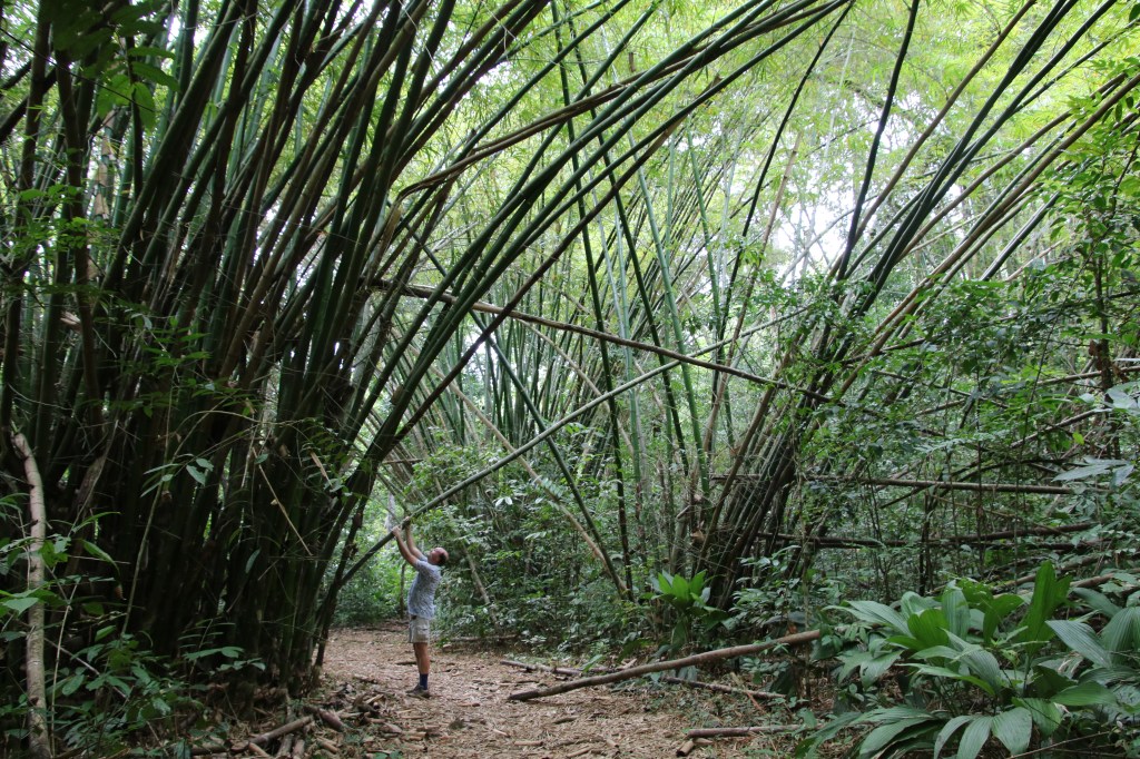 3.-5. den: Tropický deštný&nbsp;prales