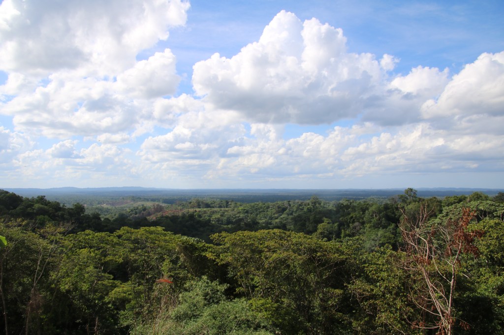 7.- 8. den: Cacao – vesnice v pralese