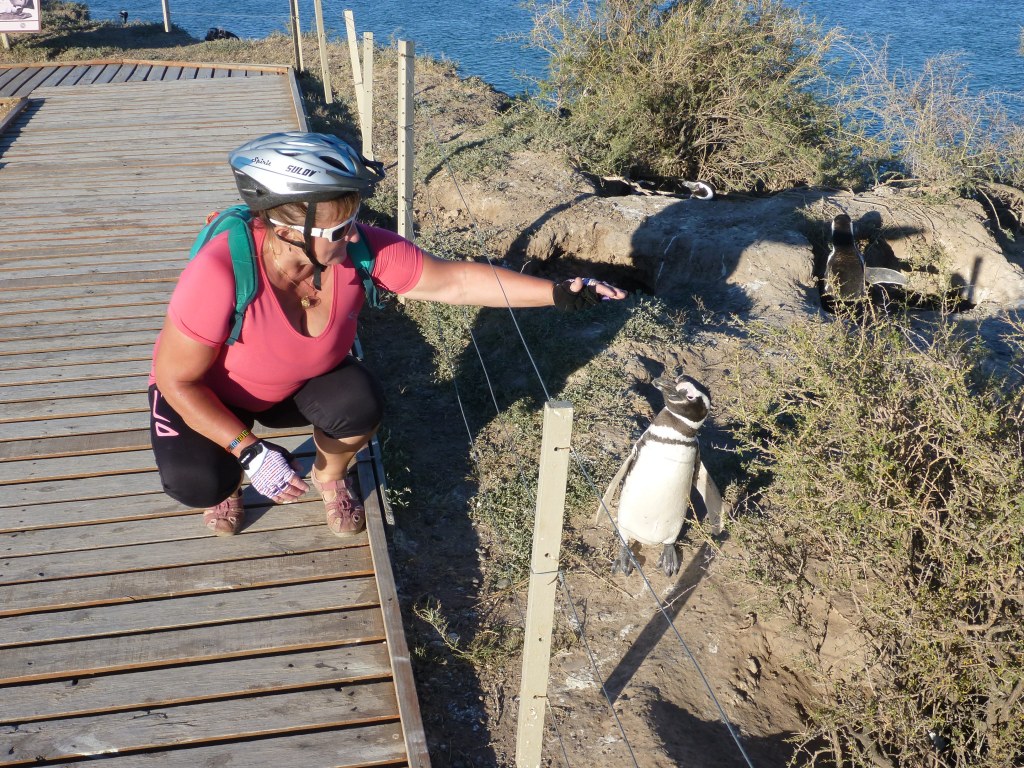 48. – 49. den: Safari na&nbsp;kole