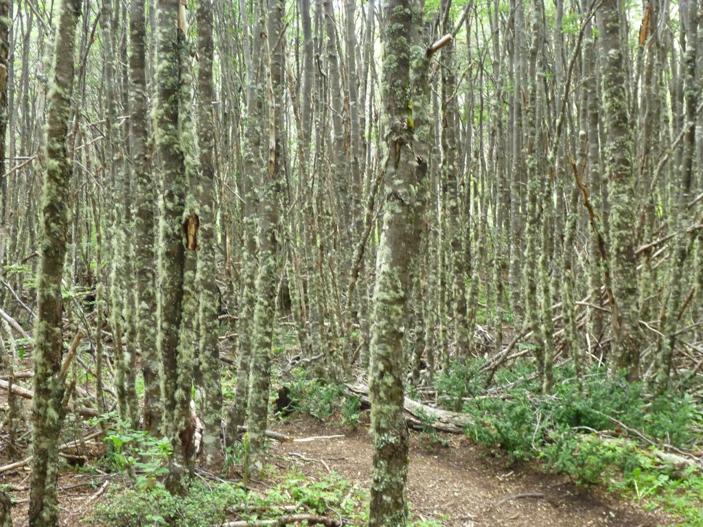 p1090589
