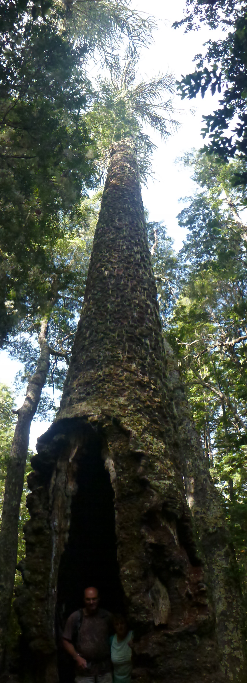 P1090879