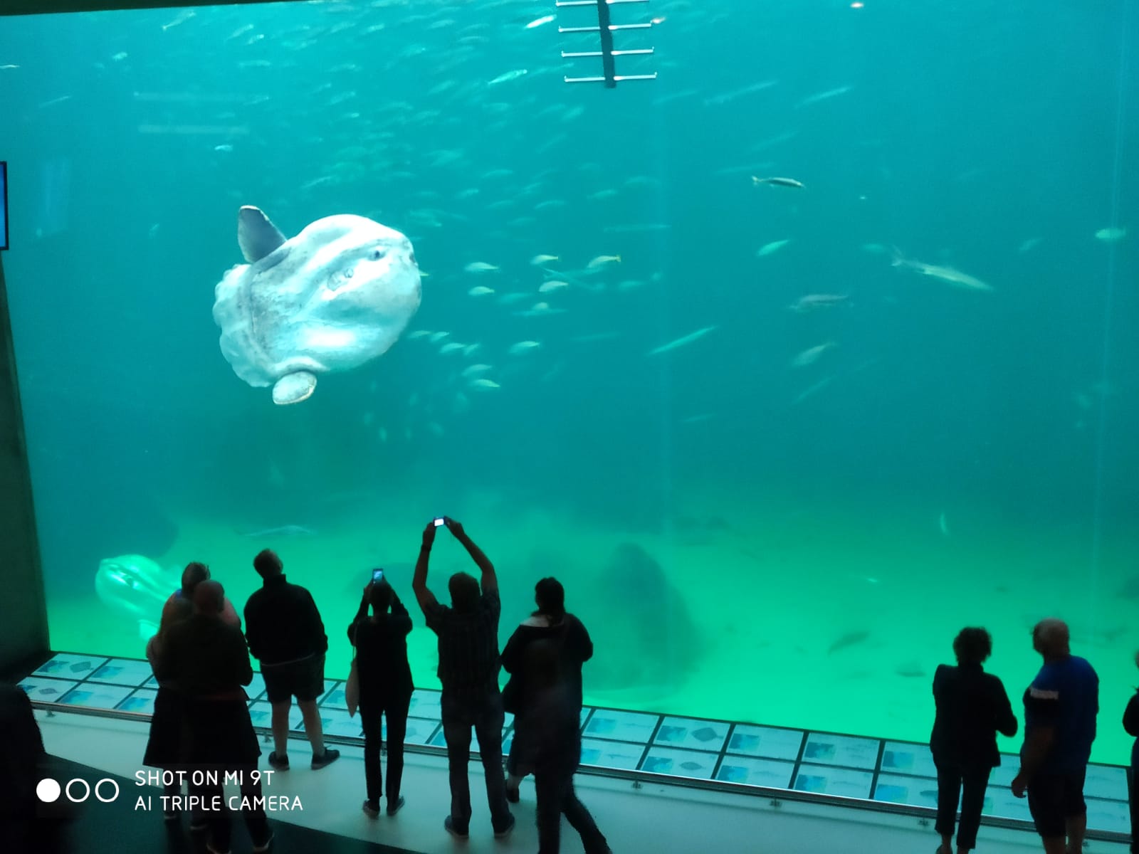 WhatsApp Image 2019-08-23 at 16.53.18